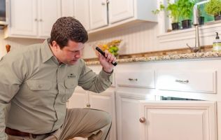 Learn About Our Residential Pest Control