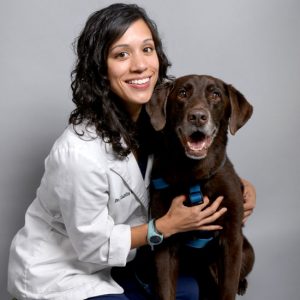 veterinary clinics in austin Bluebonnet Riverside Veterinary Clinic