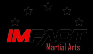 hapkido lessons austin Impact Martial Arts
