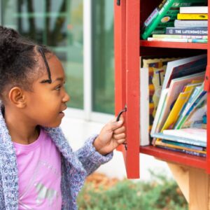 library networks in austin Little Free Library