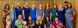 veterinary clinics in austin North Austin Animal Hospital
