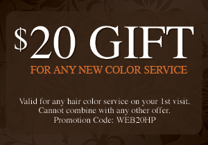 $20 Gift Card for New Color Service