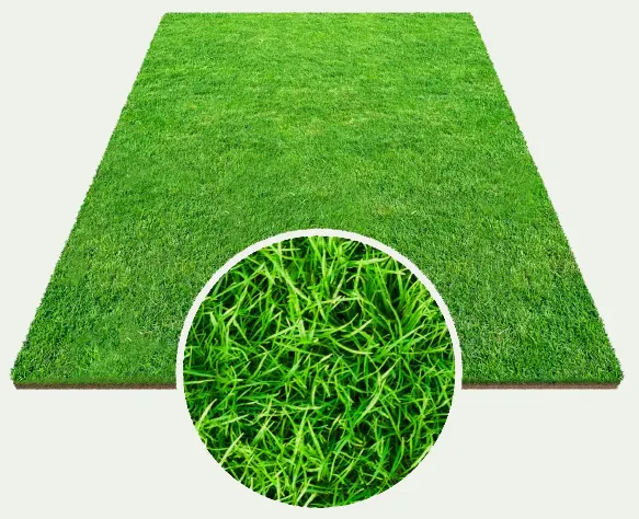 stores to buy artificial grass austin Magnolia Turf Company