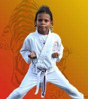 karate classes austin Austin Karate Academy