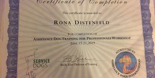 dog handlers in austin Good Dog Training